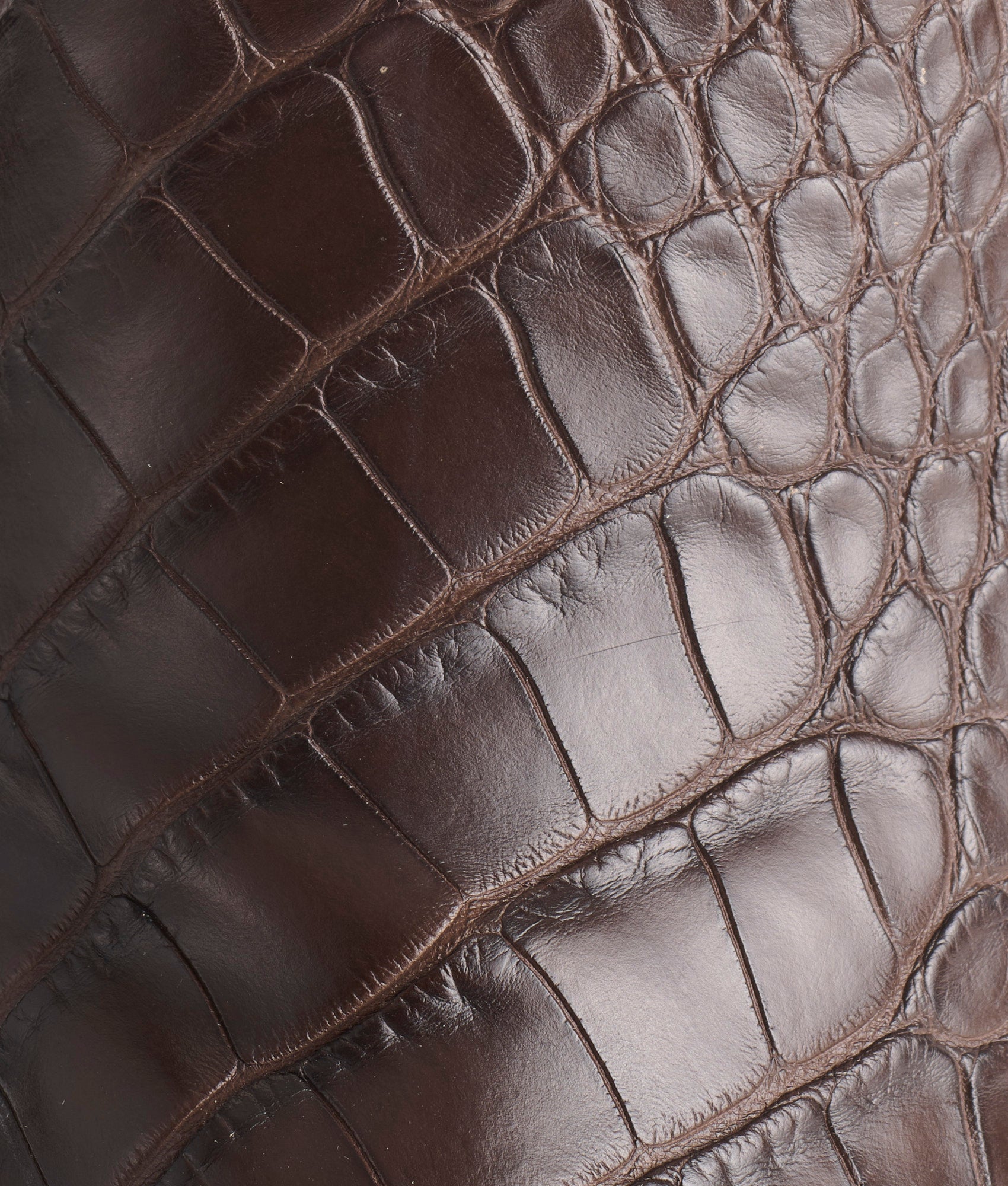 Baron :: Chocolate - Image 6