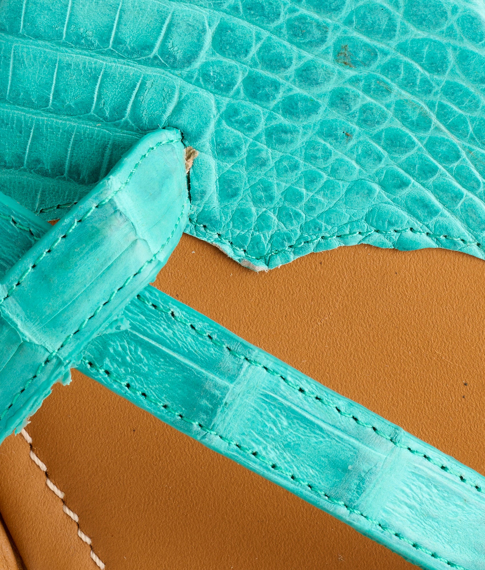 Fiorella :: Turquoise - Image 7