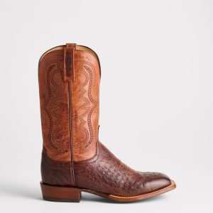 Cecil Exotic :: Sienna