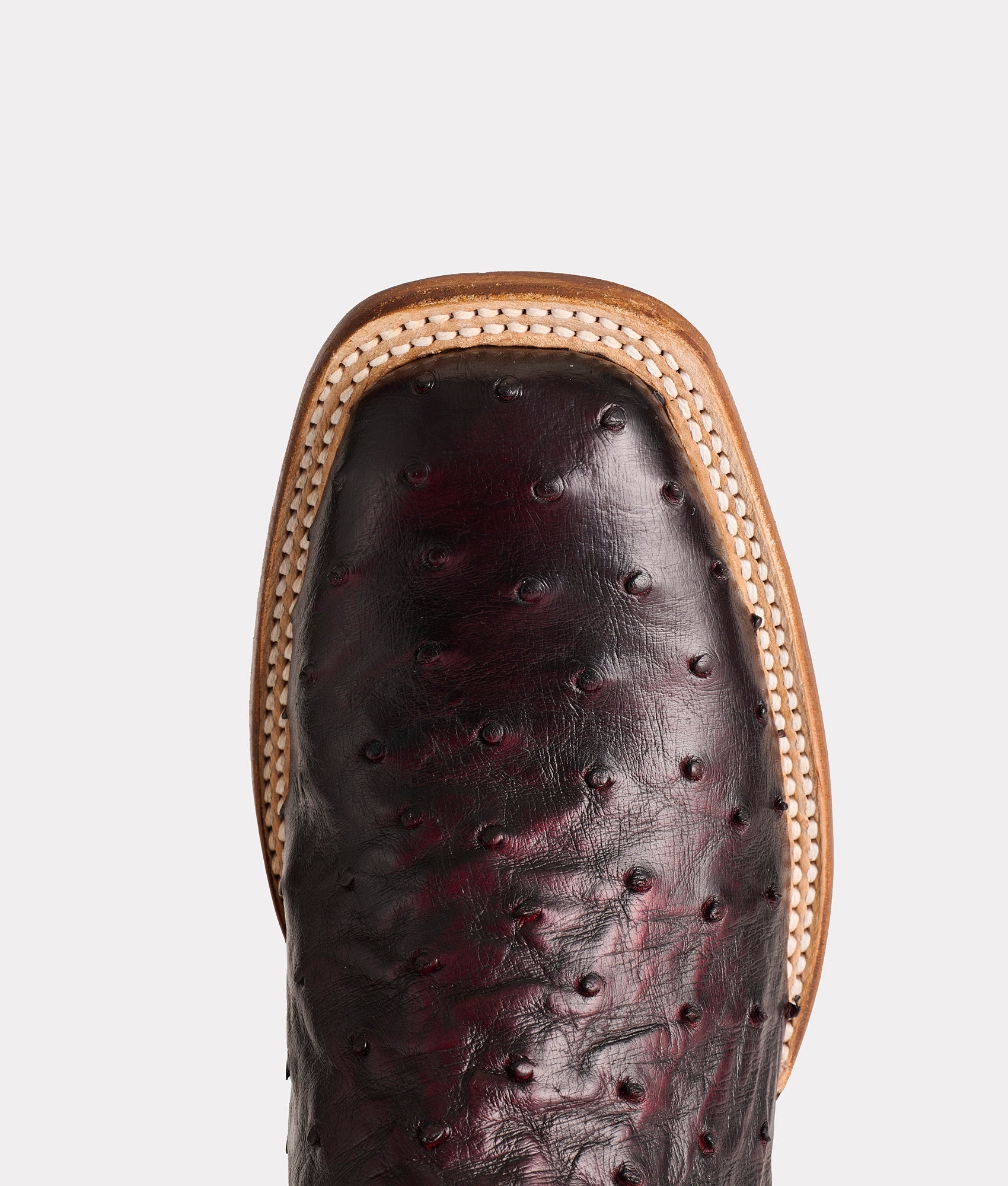 Cliff :: Black Cherry + Black - Image 6