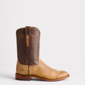 Sunset Exotic :: Olive