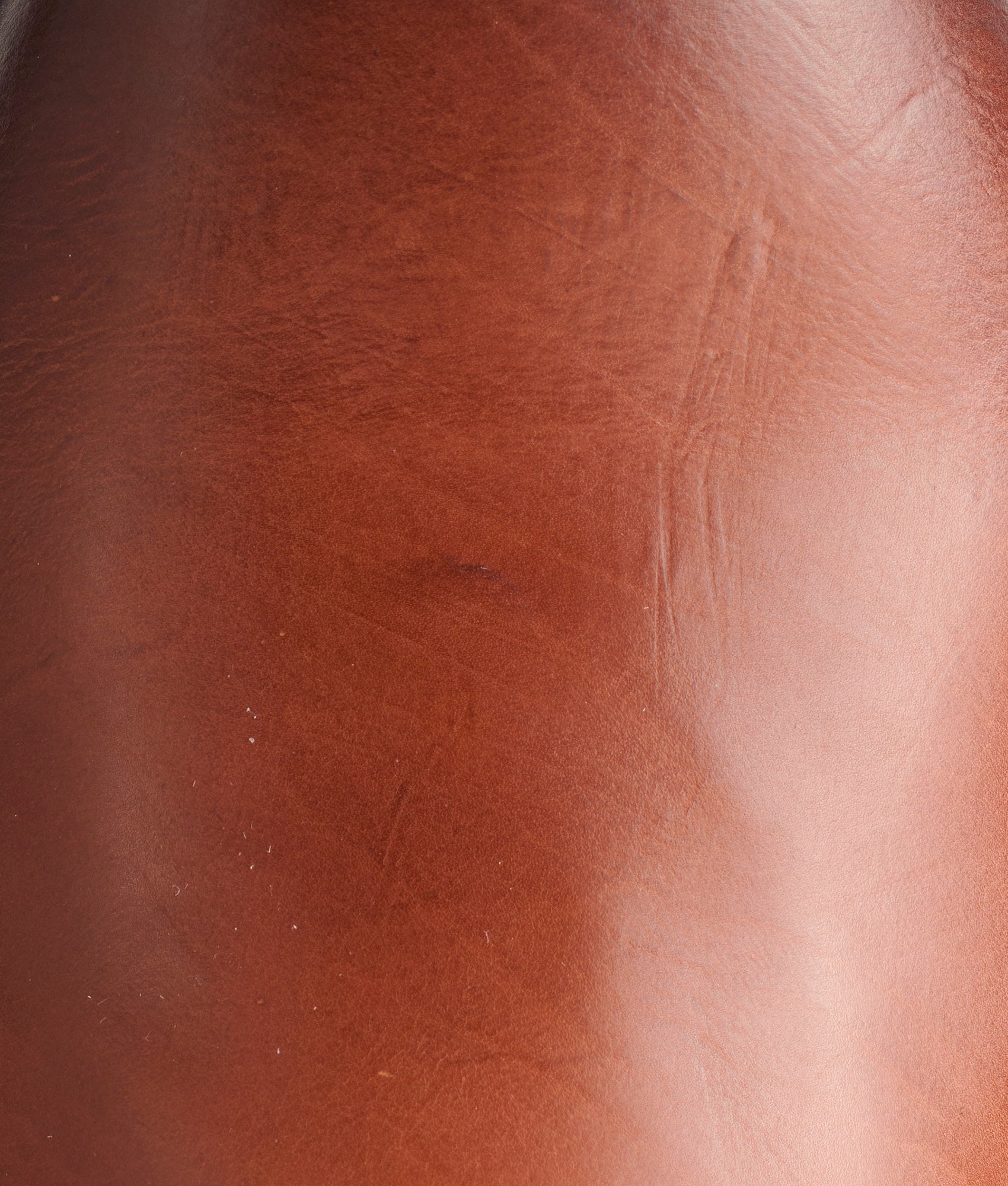 Knox :: Dark Brown - Image 8