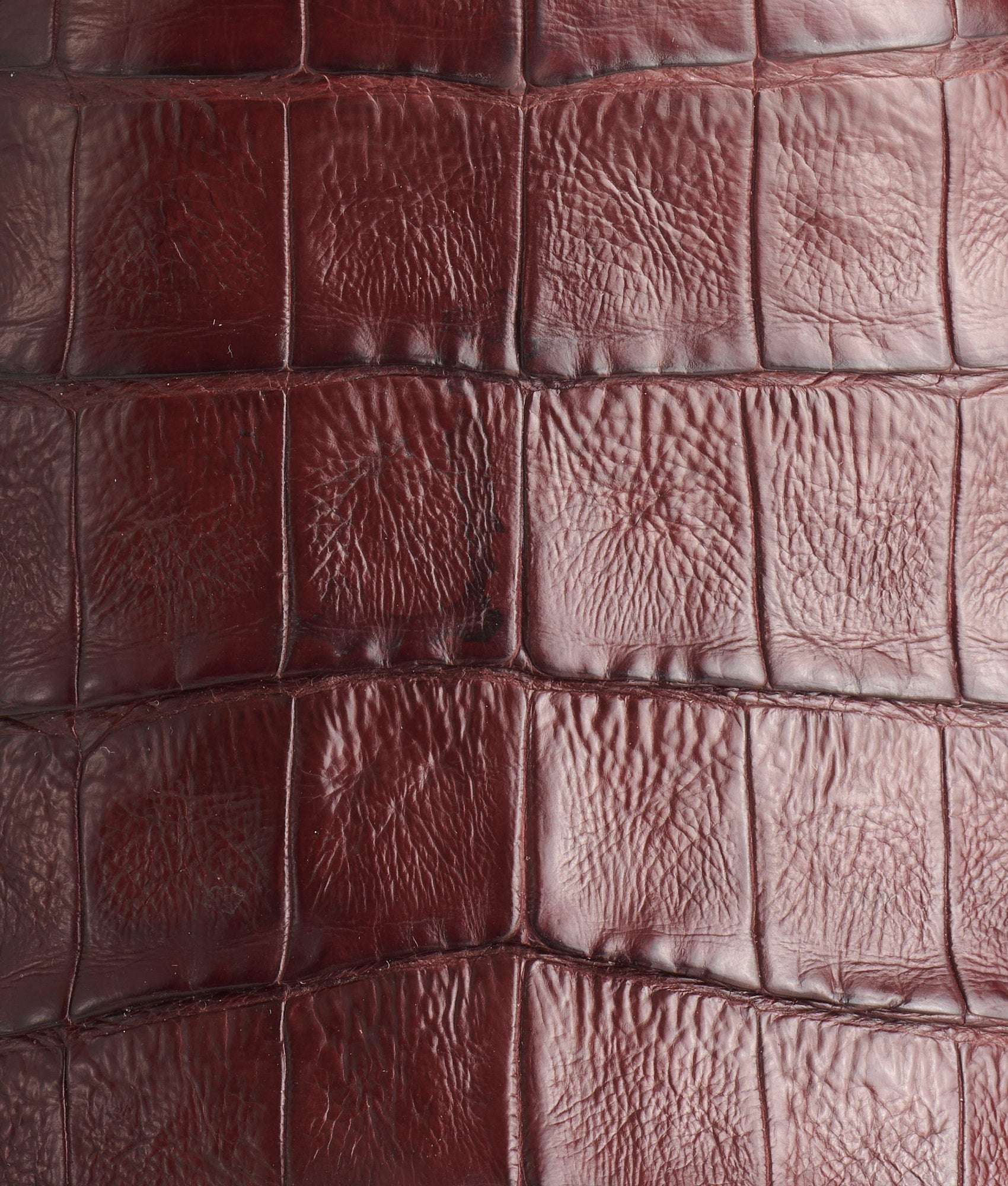 Wilson :: Sienna + Dark Brown - Image 8