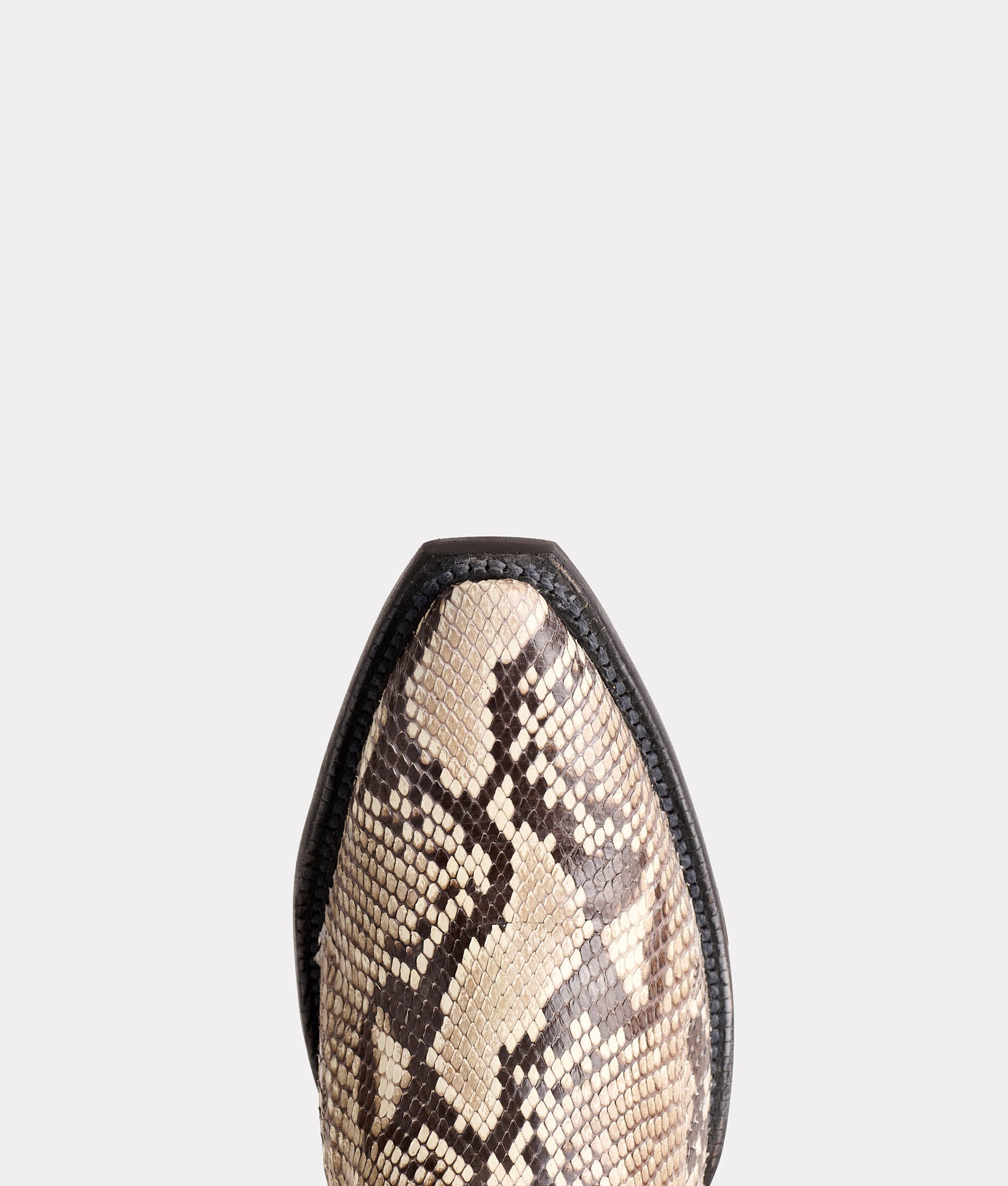 Dale Exotic :: Black/White + Black - Image 6