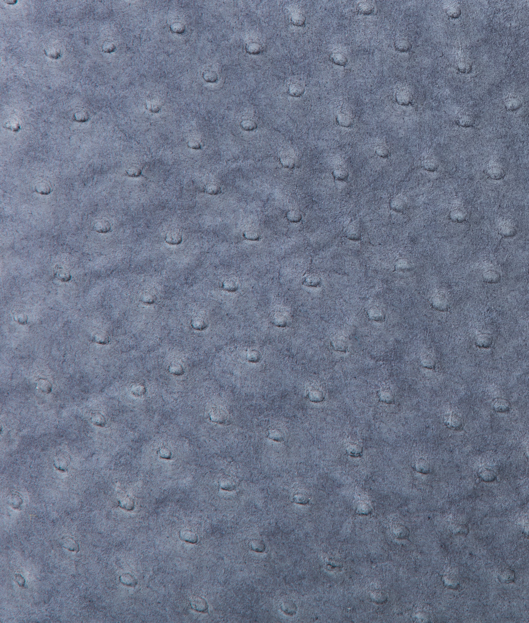 Large Lola Exotic Shopper :: Storm Blue - Image 11