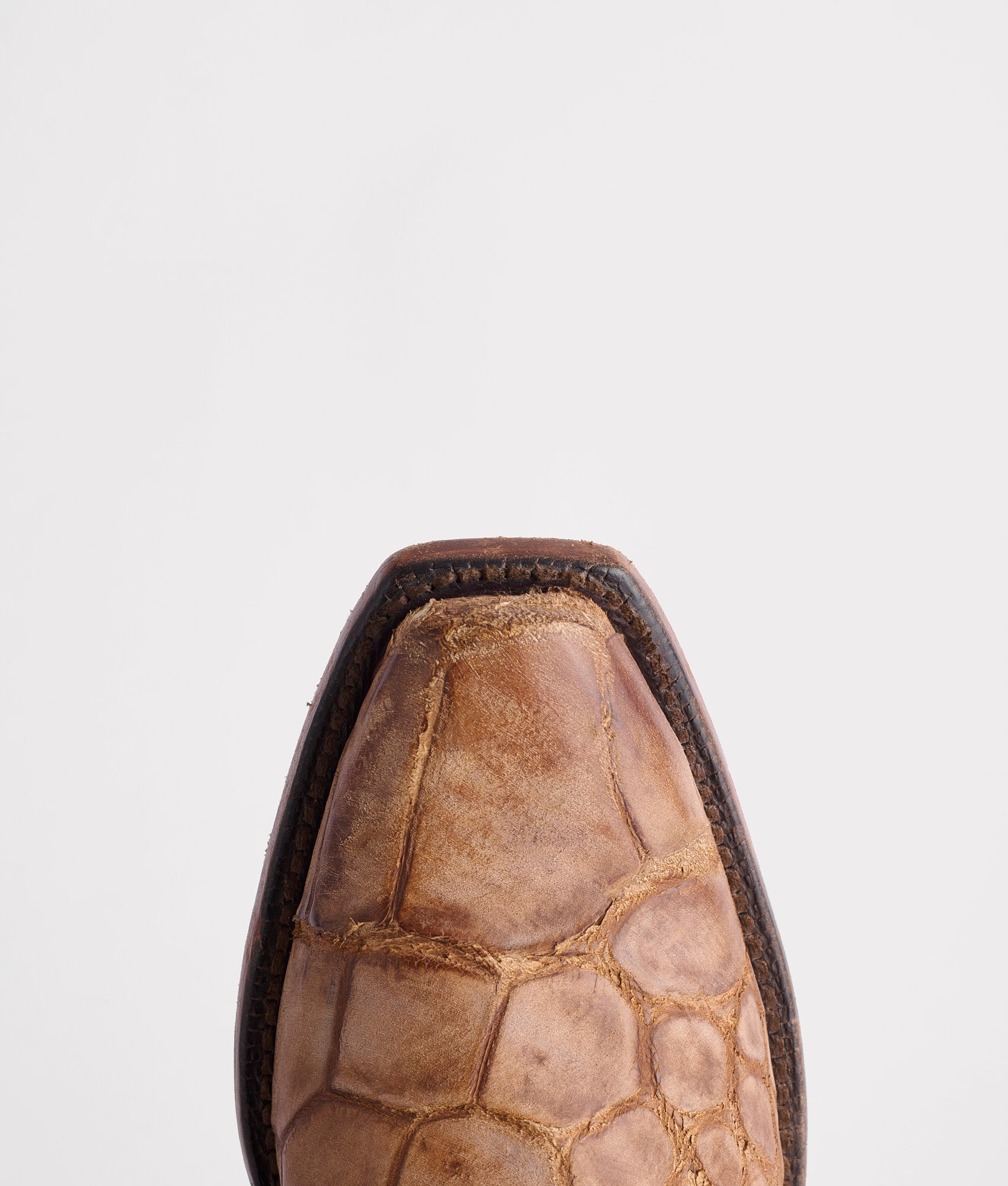 Rodney :: Cognac + Chocolate - Image 7