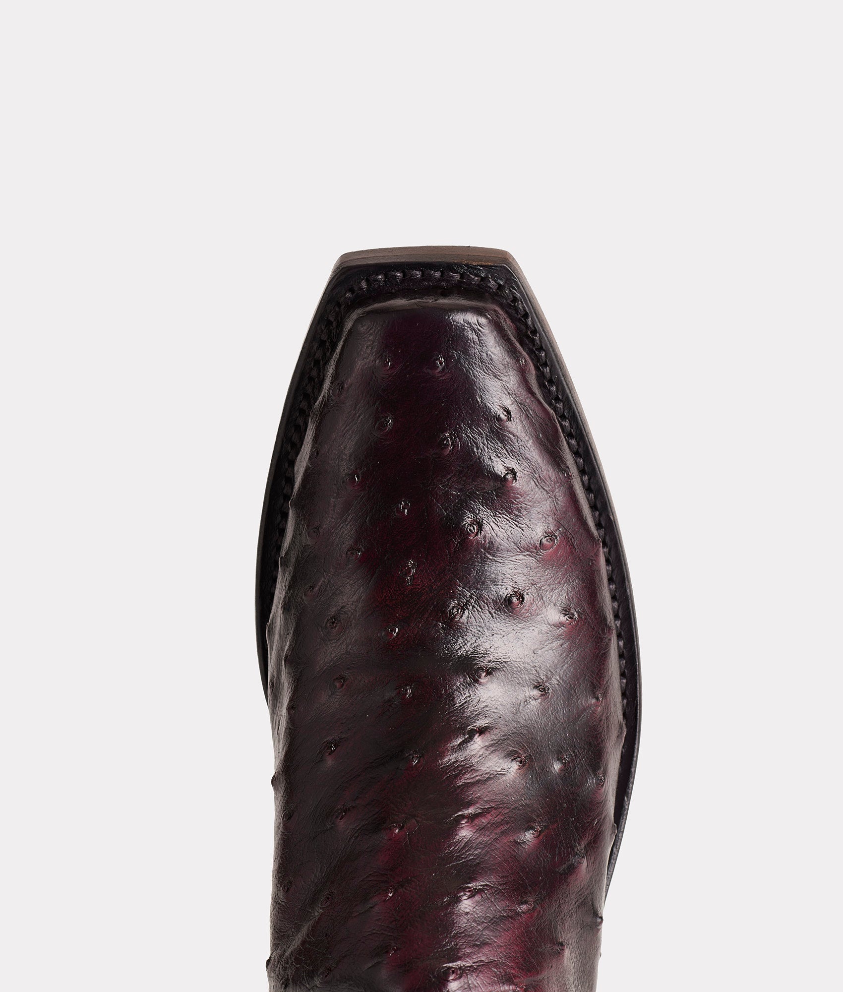 Josephine :: Black Cherry - Image 6