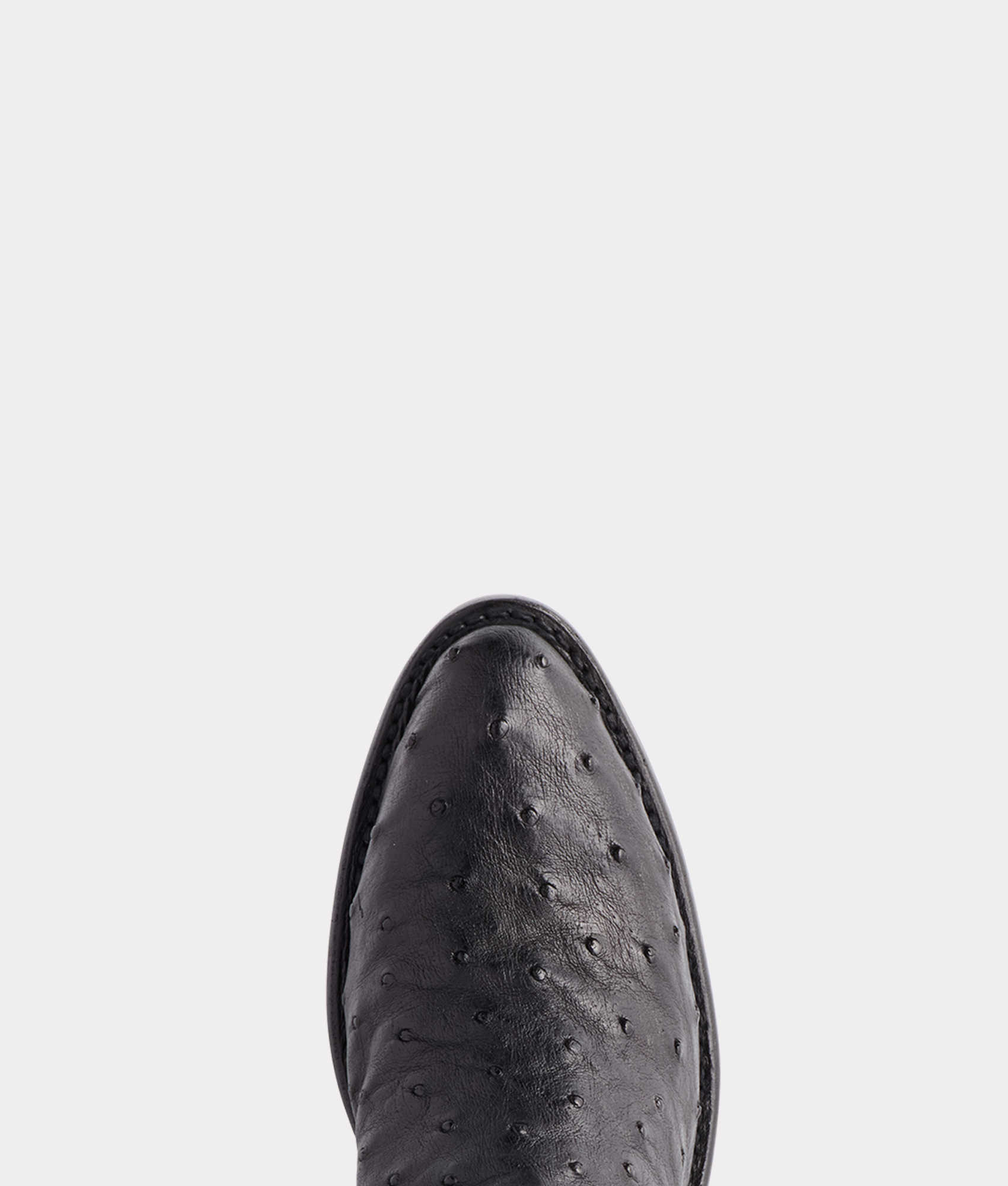 Saltillo Tall Exotic :: Black - Image 7