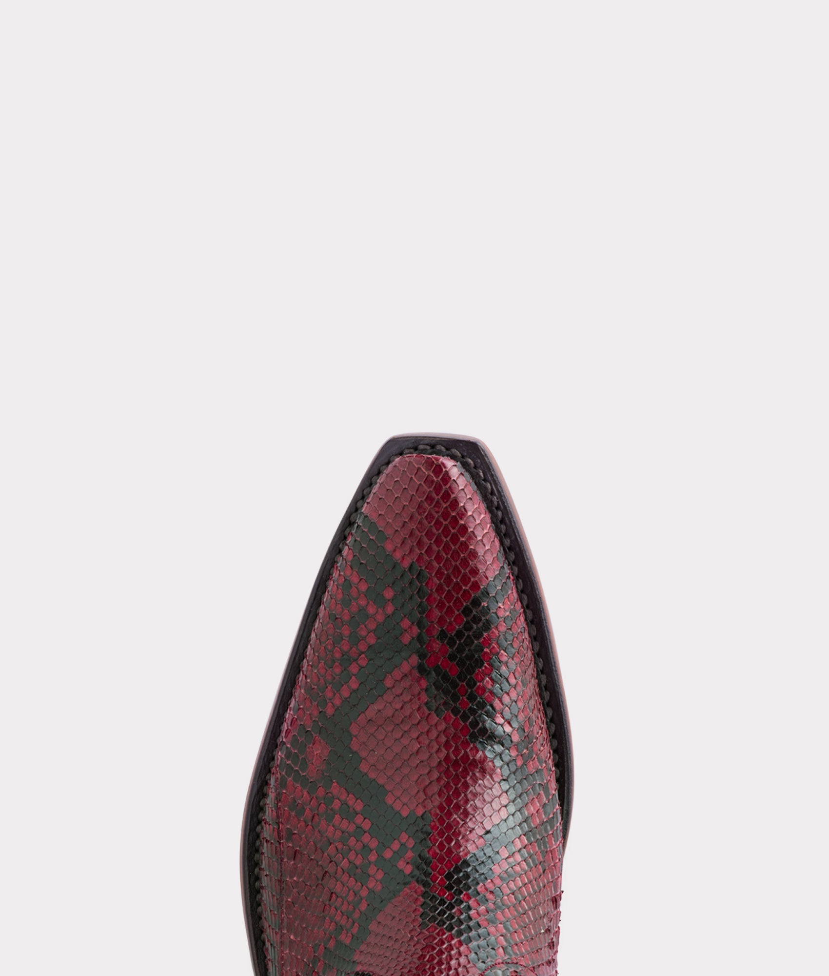 Dale Exotic :: Garnet - Image 7