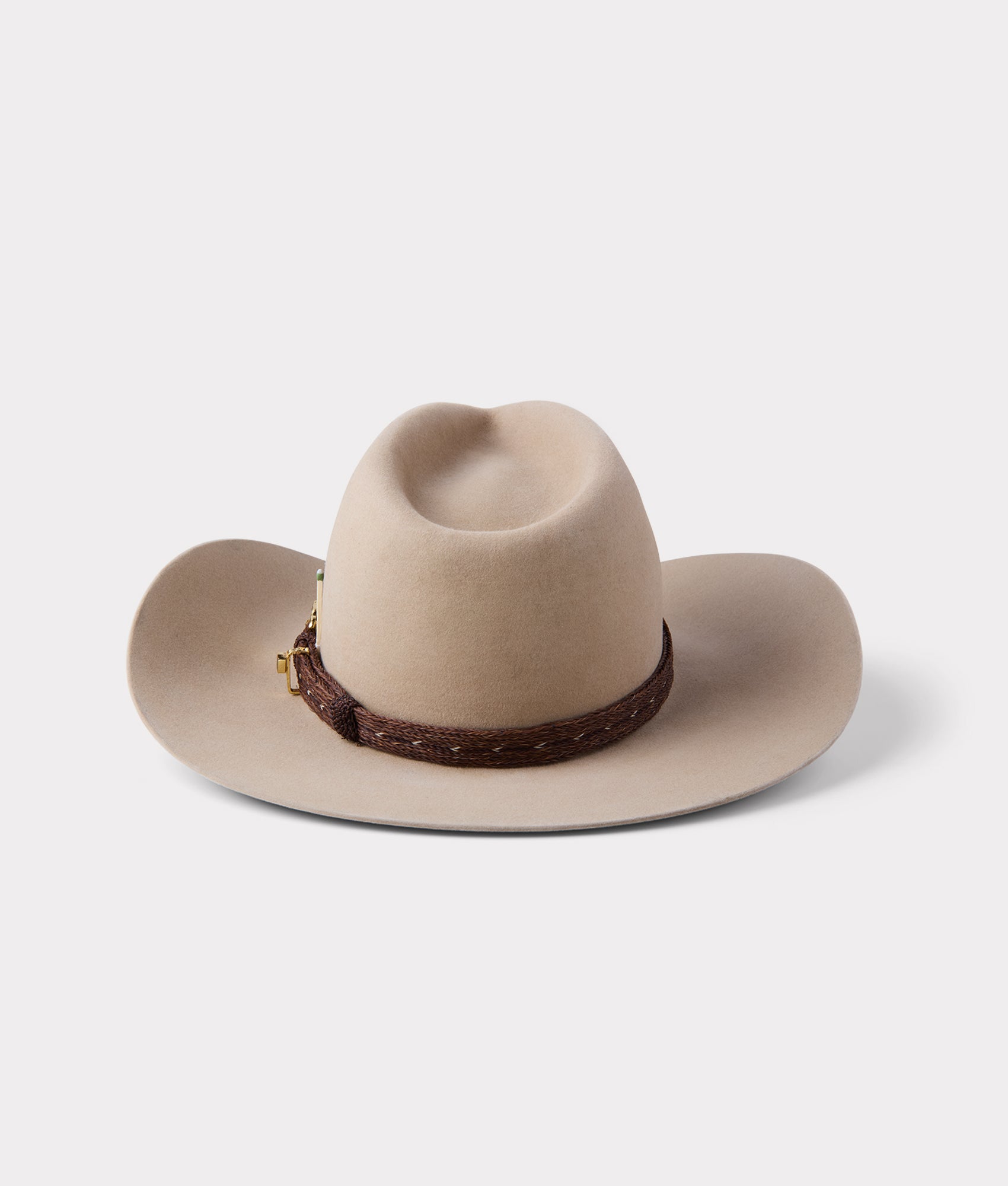 Palomino Holy Paw :: Sahara - Image 4