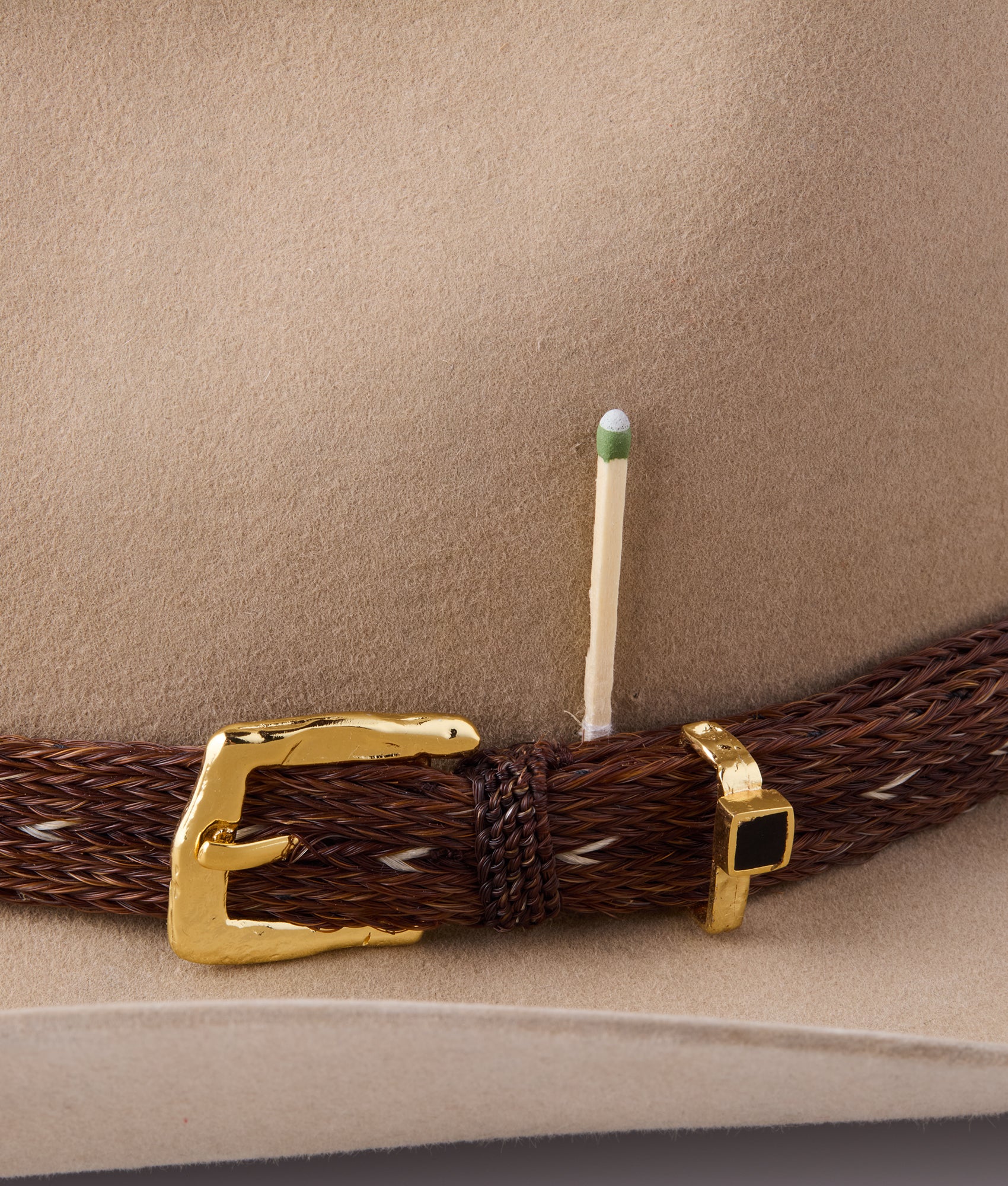 Palomino Holy Paw :: Sahara - Image 2