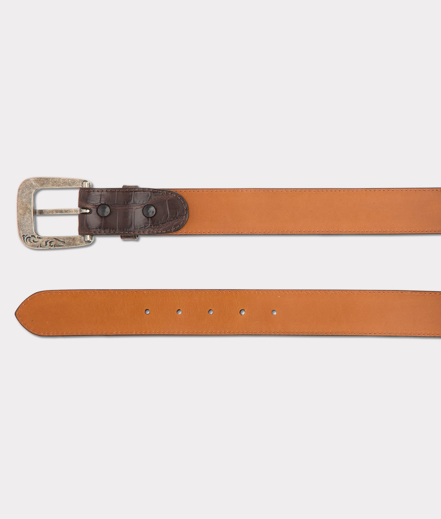 American Alligator :: Chocolate - Image 5