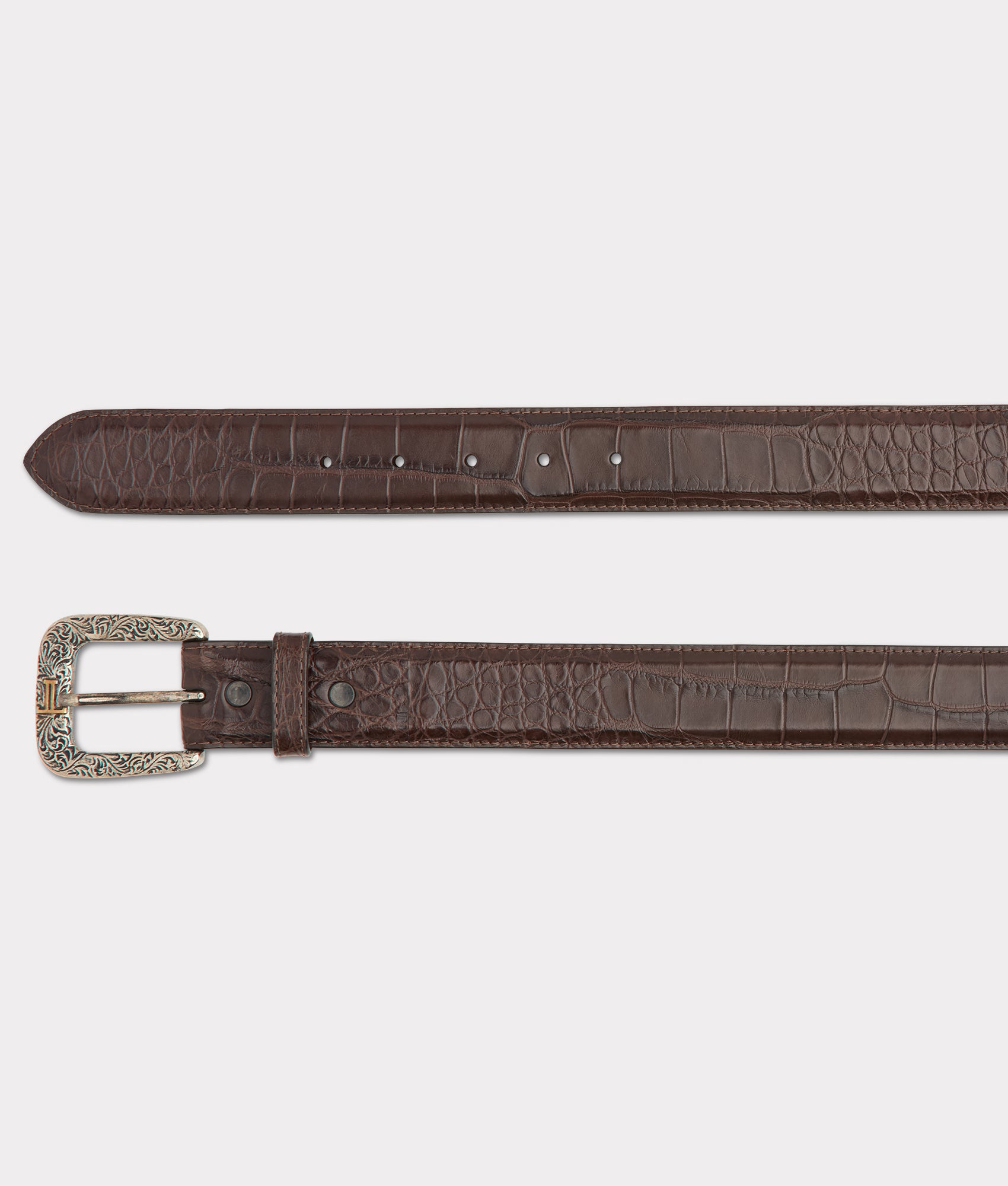 American Alligator :: Chocolate - Image 4