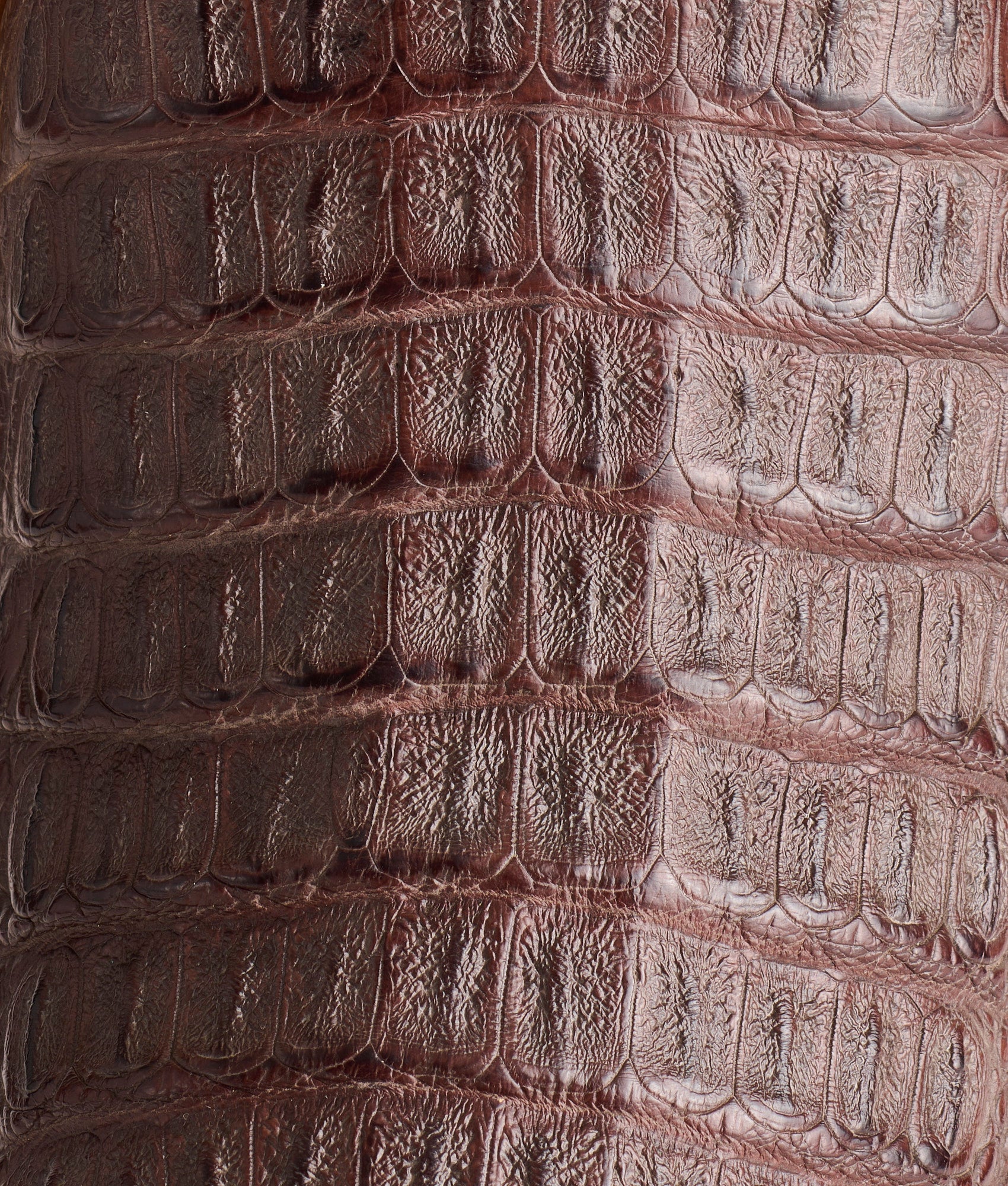 Fisher :: Barrel Brown + Tan - Image 6