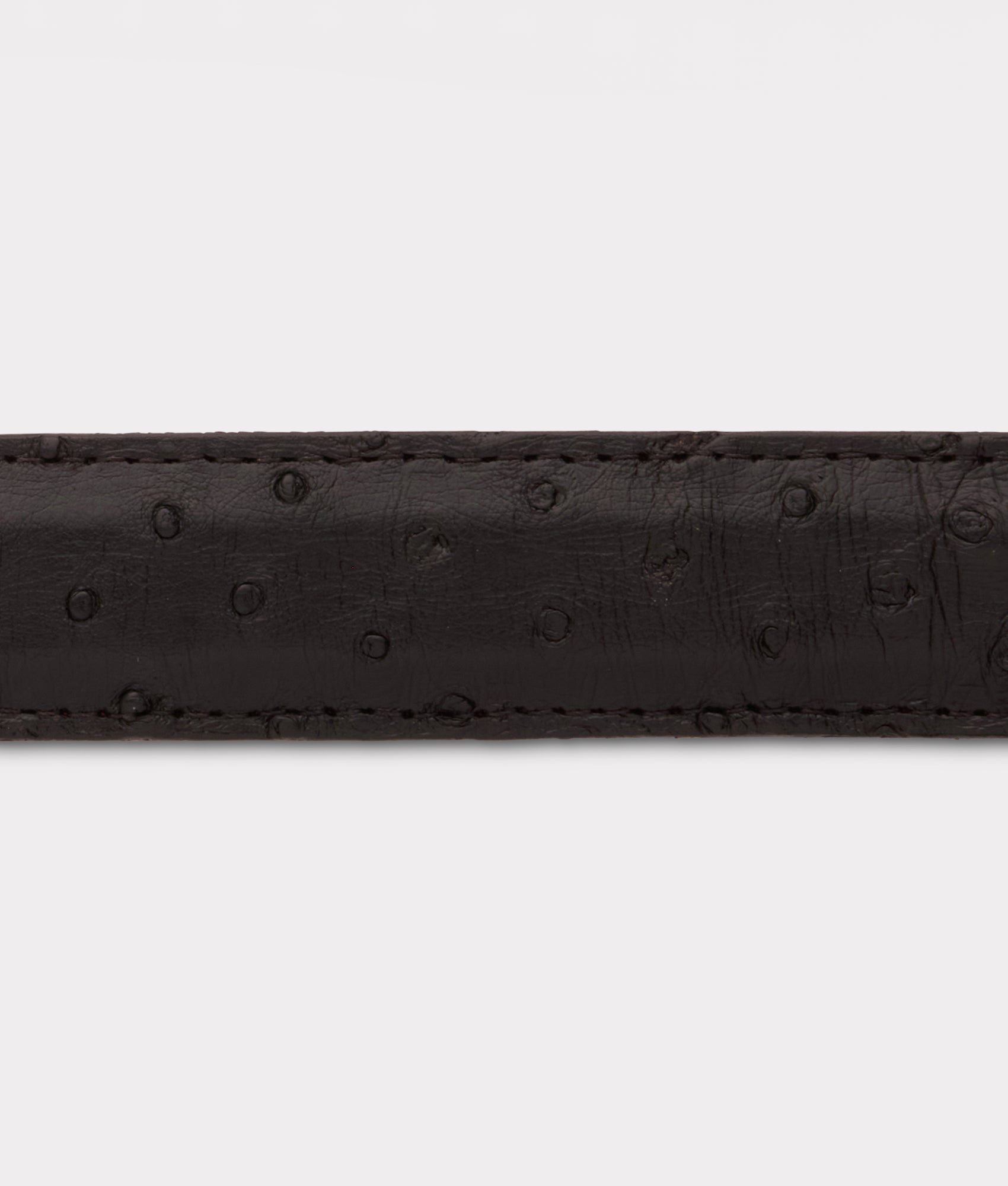 Full Quill Ostrich Tapered :: Black - Image 7